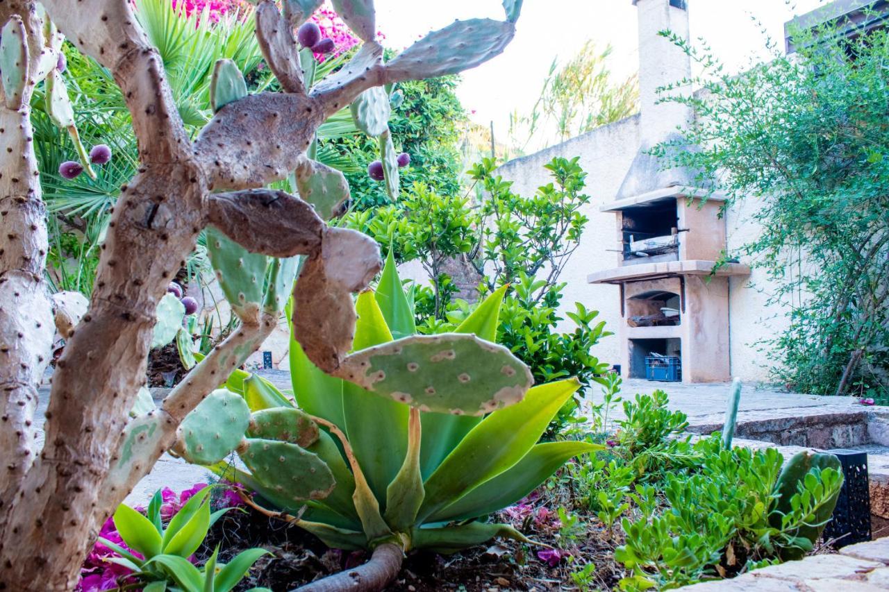 Villa Villino Agave San Vito Lo Capo Exterior foto